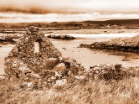 Carra Island, Oileán na Cara, Co. Galway